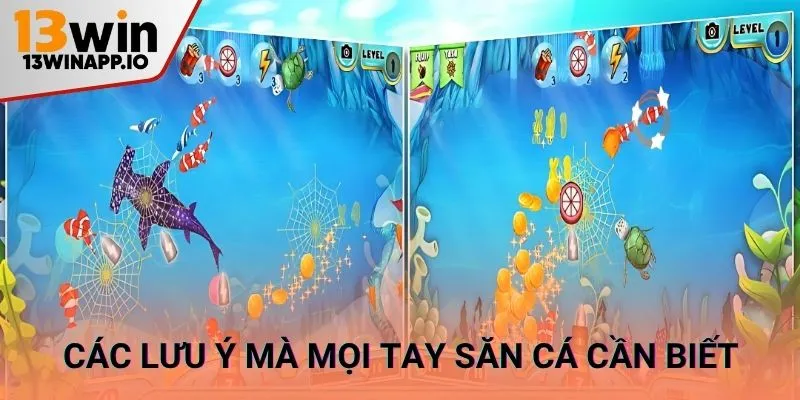 Các lưu ý mà mọi tay săn cá cần biết